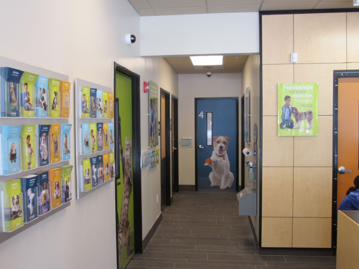 The exam room entrances of Banfield Pet Hospital - Boca Village Square