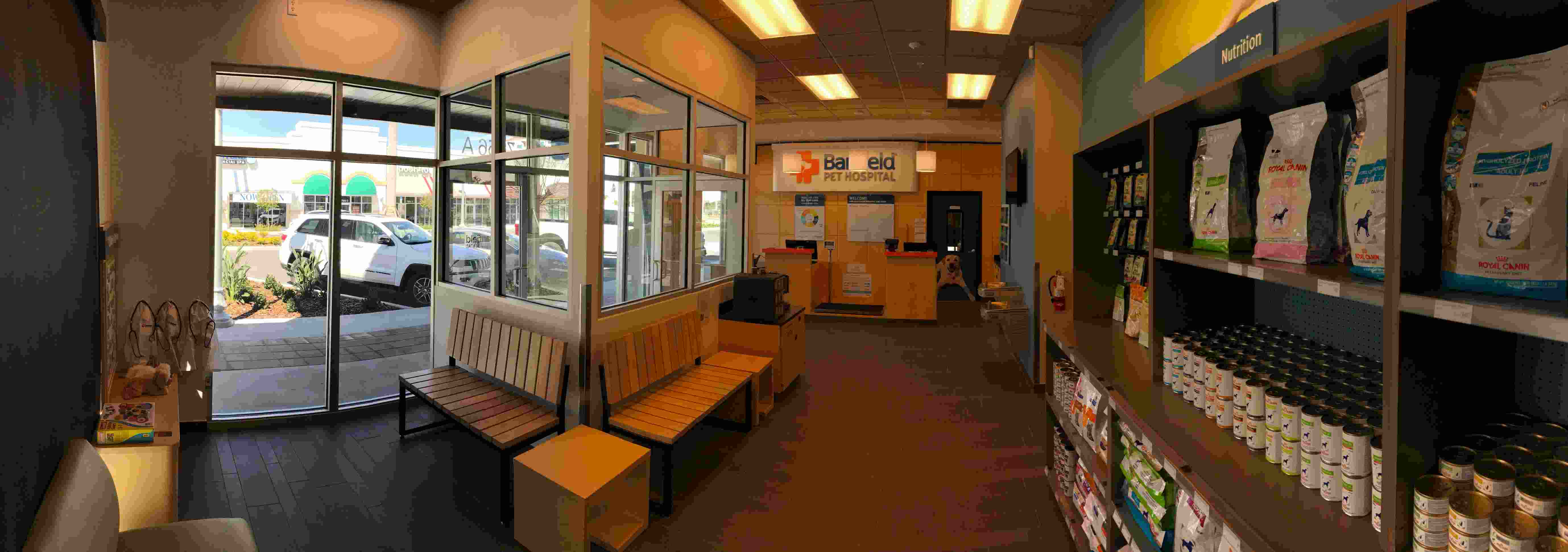 The Banfield Seminole lobby and waiting area
