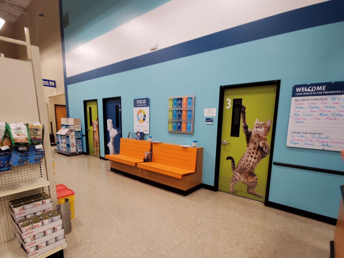 Banfield Pet Hospital: Palm Coast waiting area