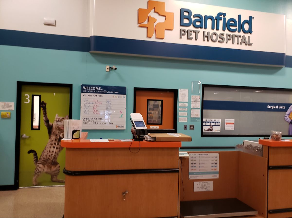 Banfield Pet Hospital: Jacksonville (Oakleaf) front desk