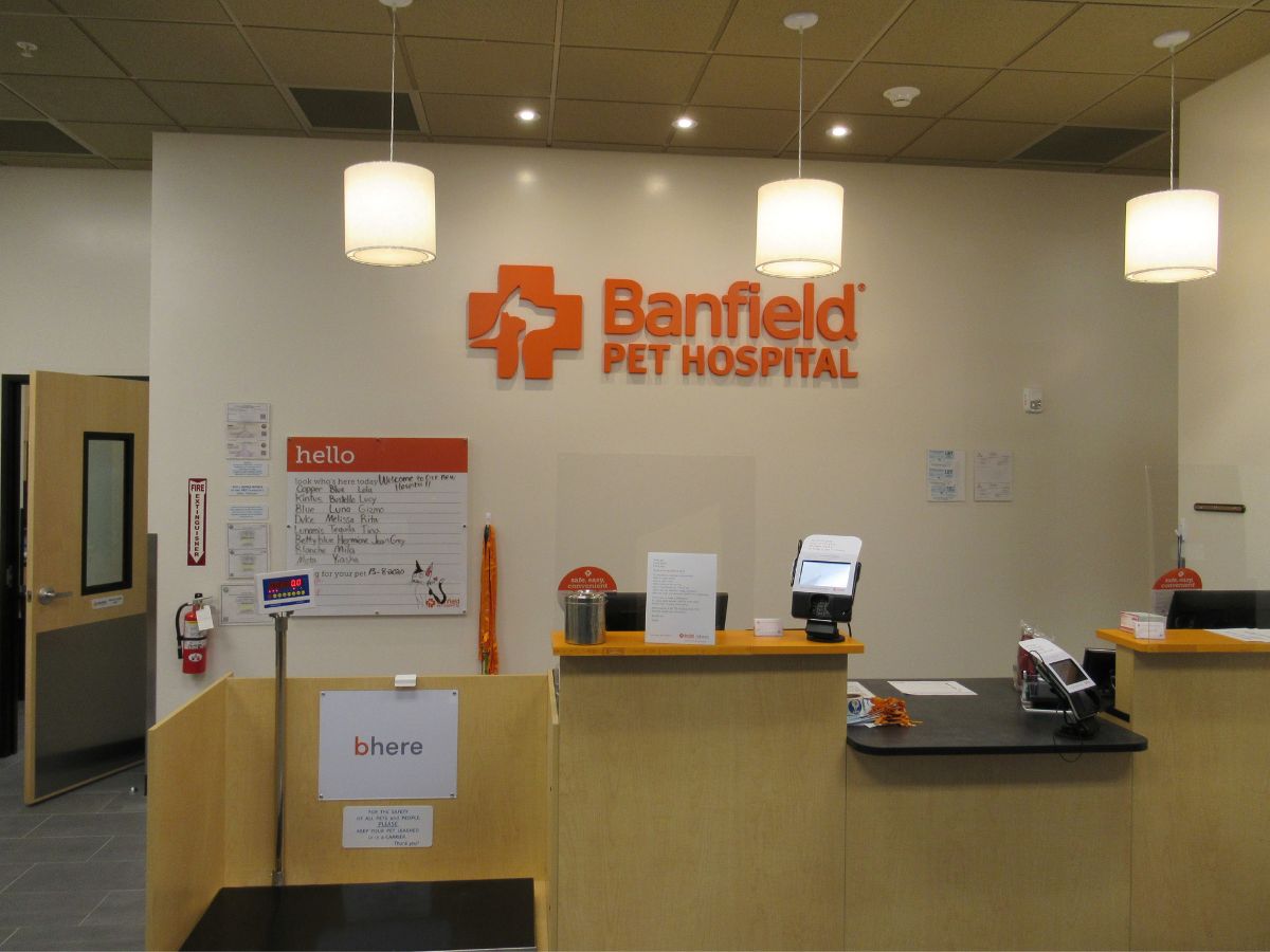 The Banfield Coral Gables PH front desk