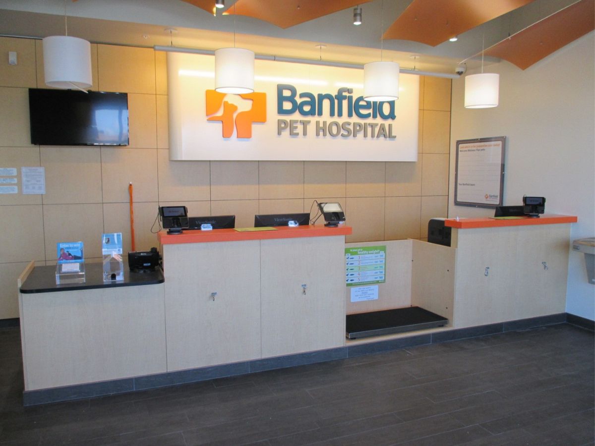 The Banfield Pet Hospital Hollywood front desk