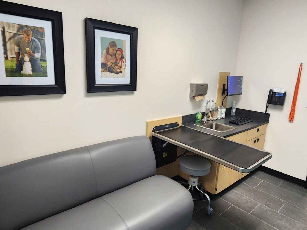 The Banfield Pet Hospital Mobile Bolton exam room