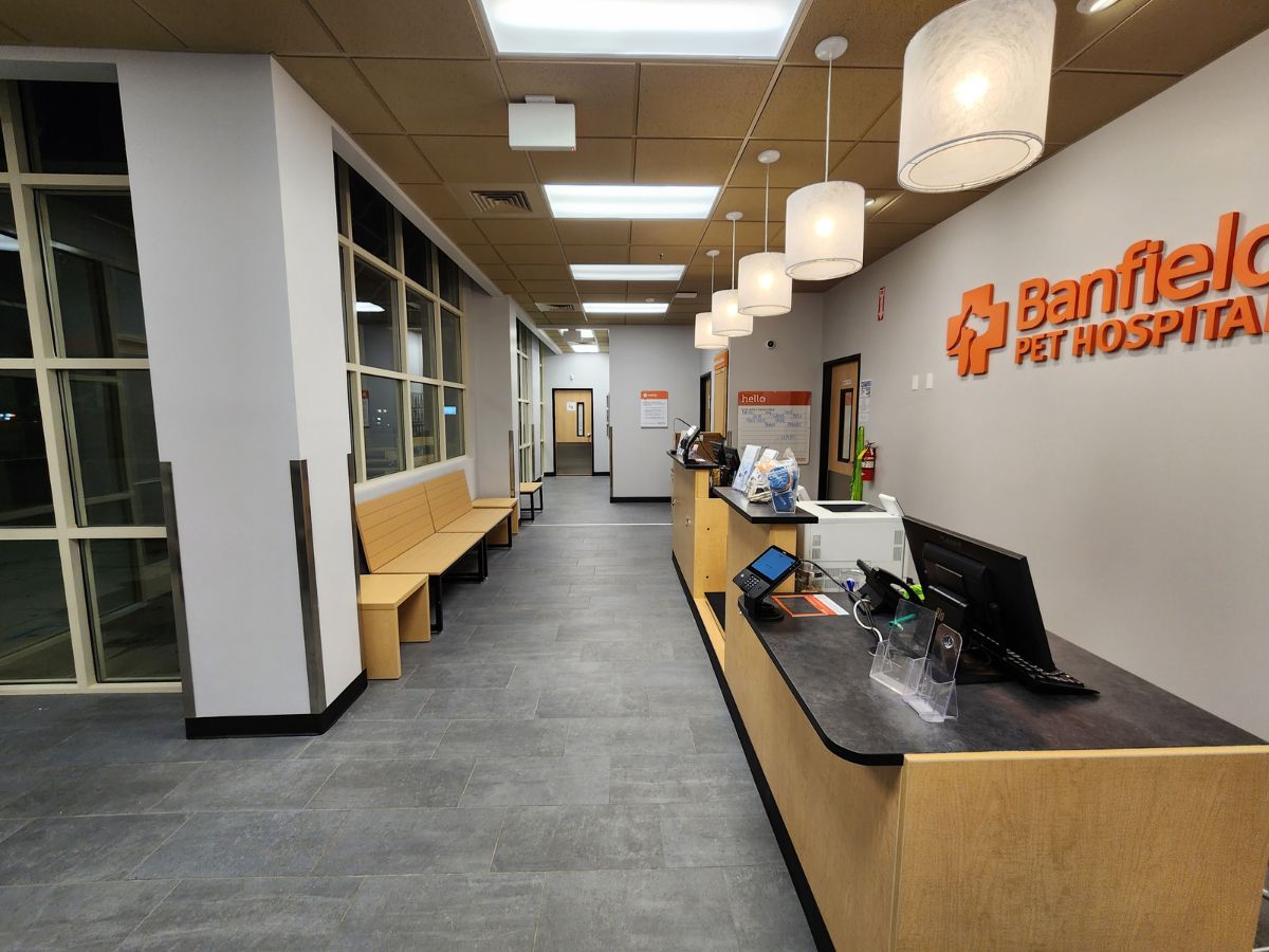 The Banfield Louisville Stony Brook front waiting area