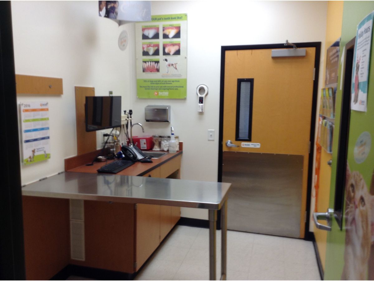 Inside the exam room at Banfield Pet Hospital - Fontana