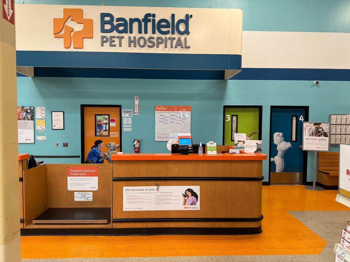 The Banfield Brea hospital front desk and lobby