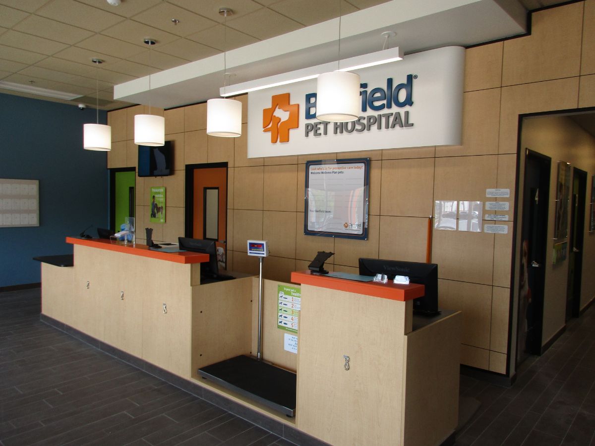 The Banfield Brea Marketplace hospital front lobby