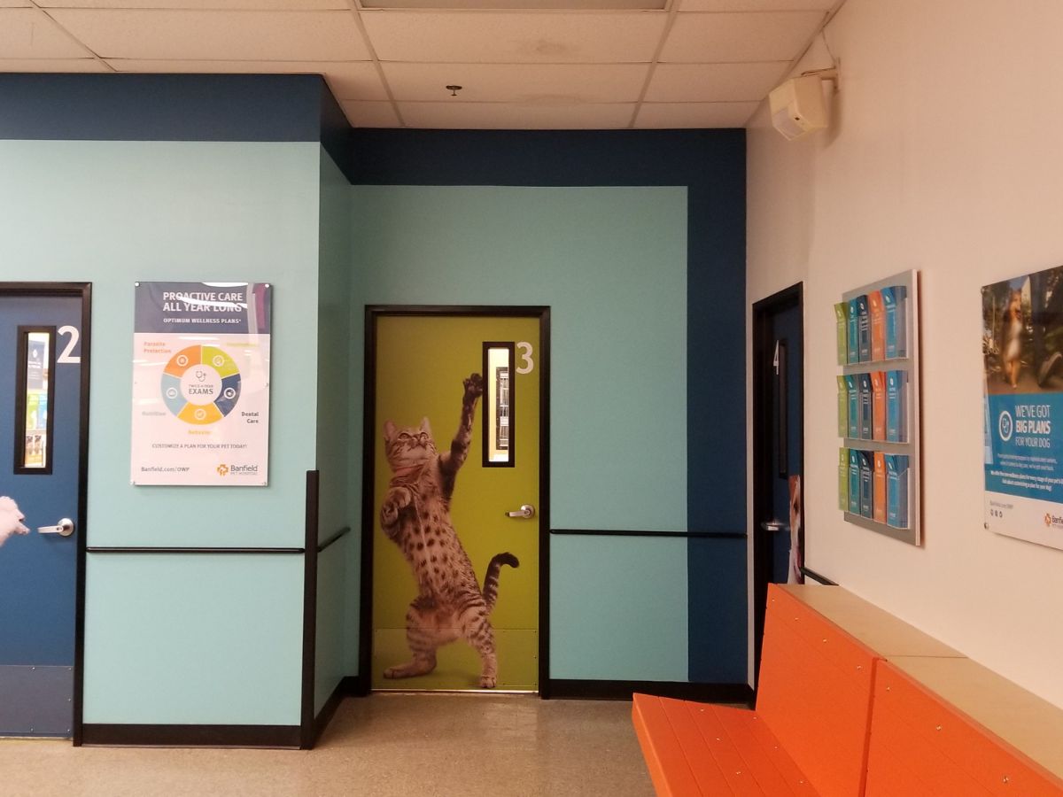 The Banfield White Marsh waiting area and exam room entrances