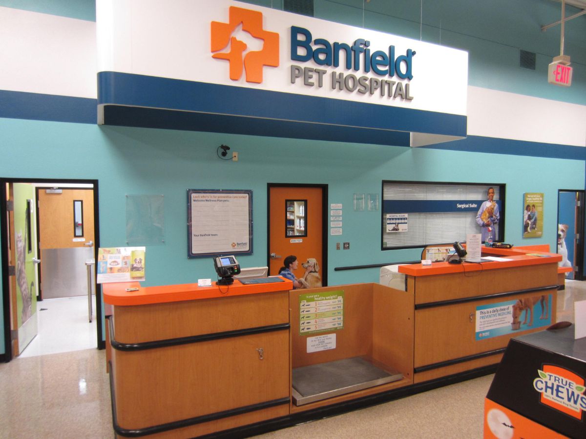 The Banfield Walnut hospital front desk and check-in