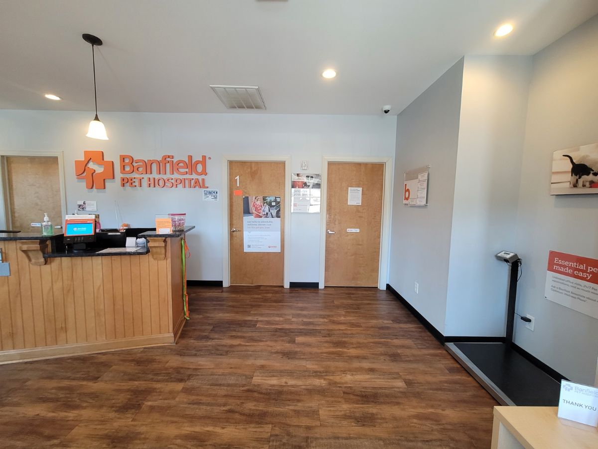 The Yadkin Park Banfield front desk and waiting area