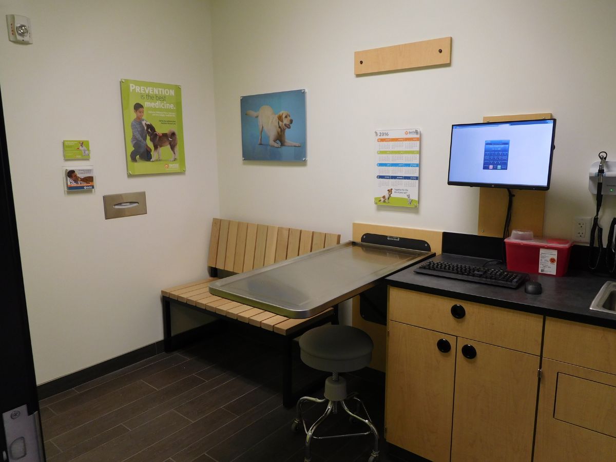 An inside view of a Greensboro S exam room