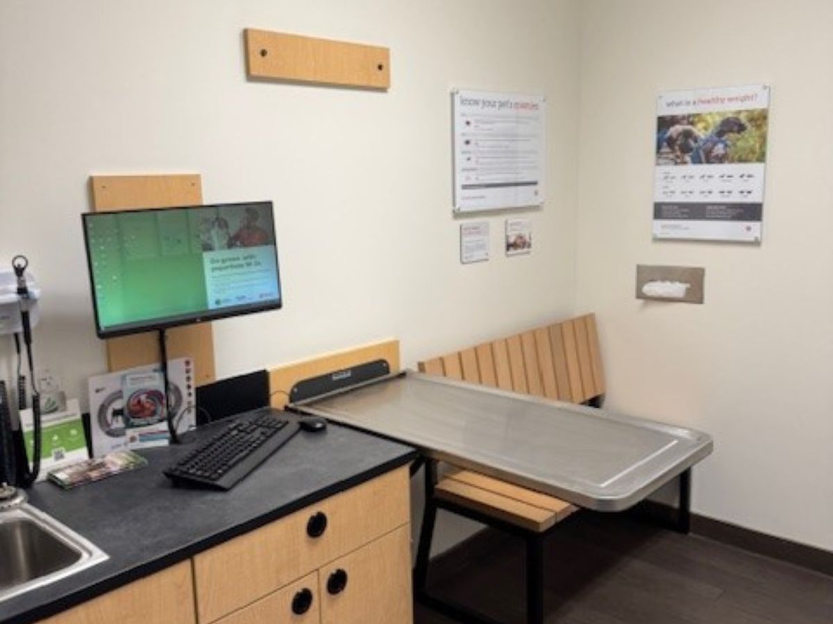 An inside view of the Greensboro N exam room