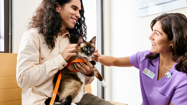 A pet owner sits with his cat in his lap. He is taking to a Banfield veterinary professional in purple scrubs