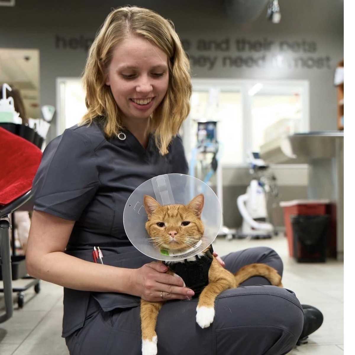 Profile picture of Rae Ammann, Practice Manager