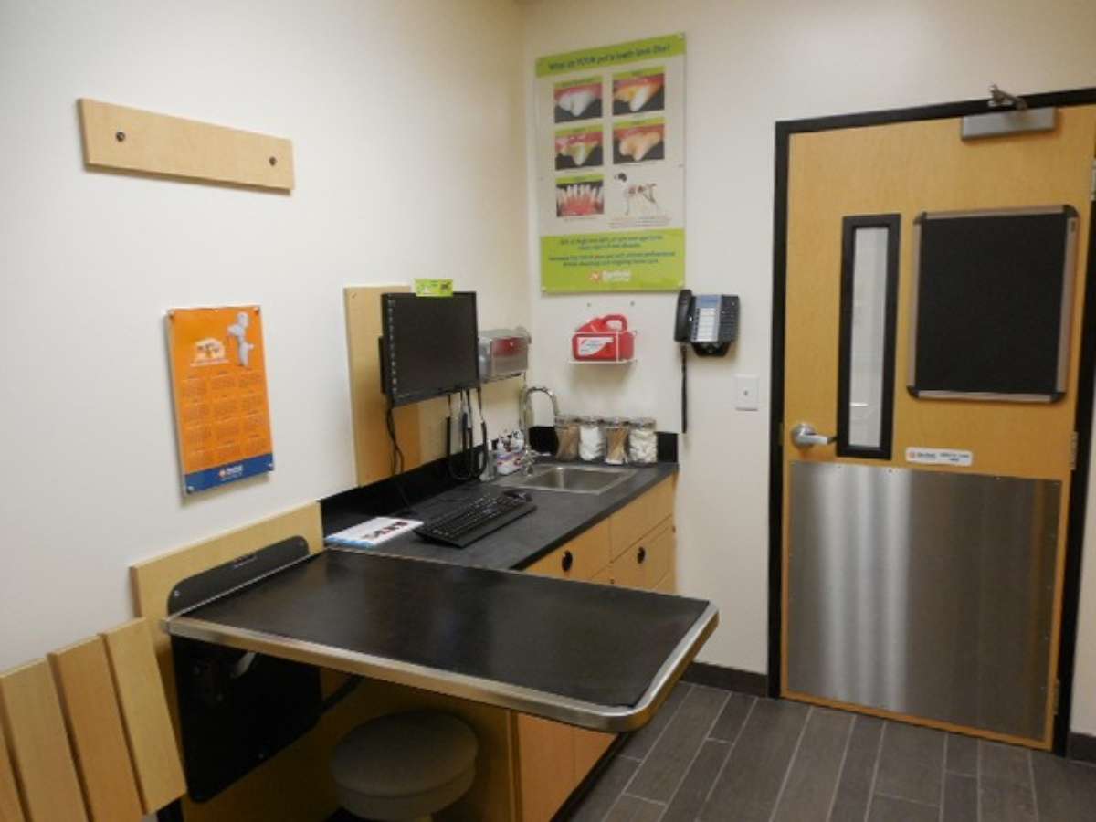 The exam room inside the Raleigh North Ridge Banfield hospital