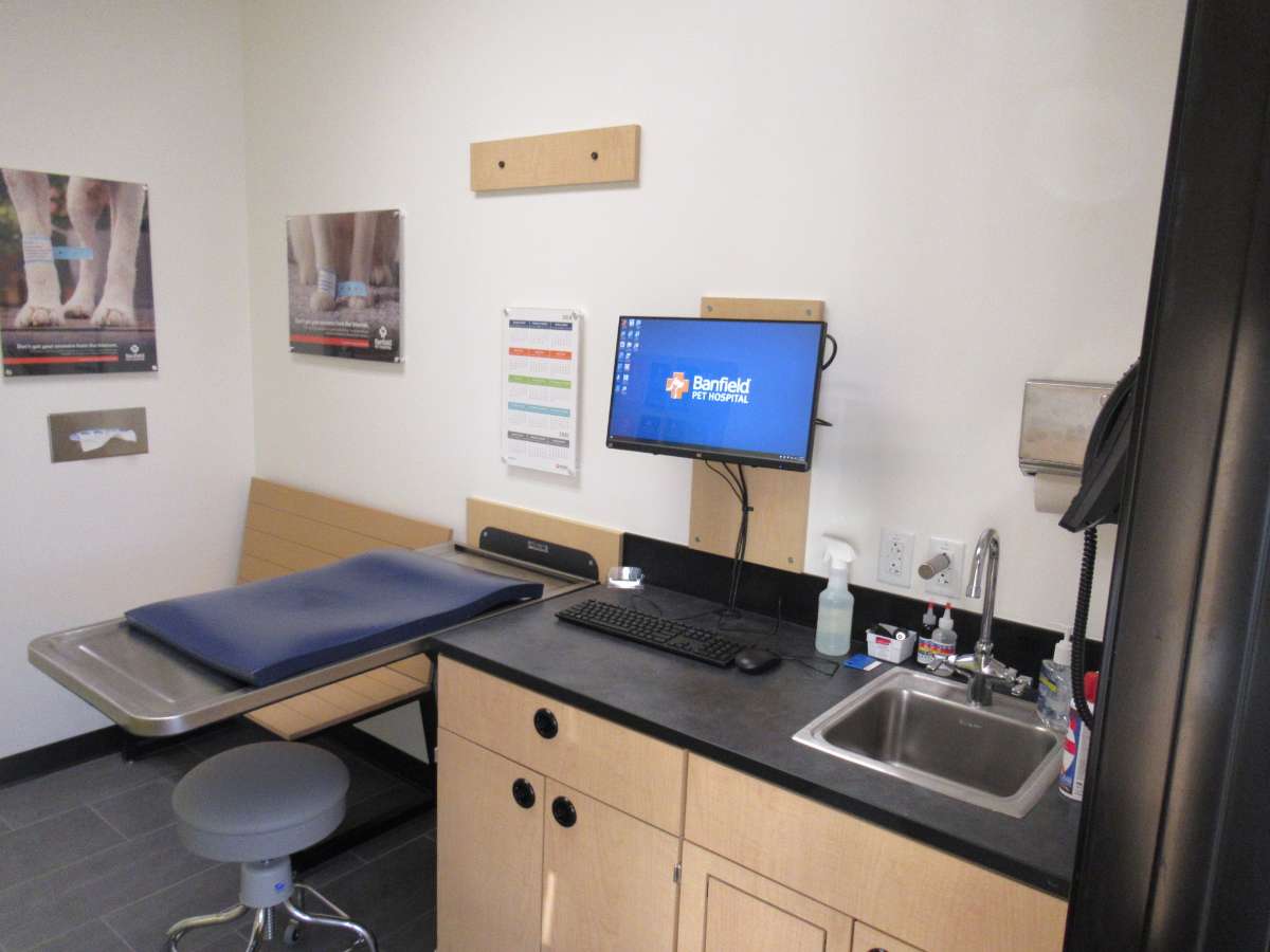 Inside an exam room in the Banfield Garner hospital