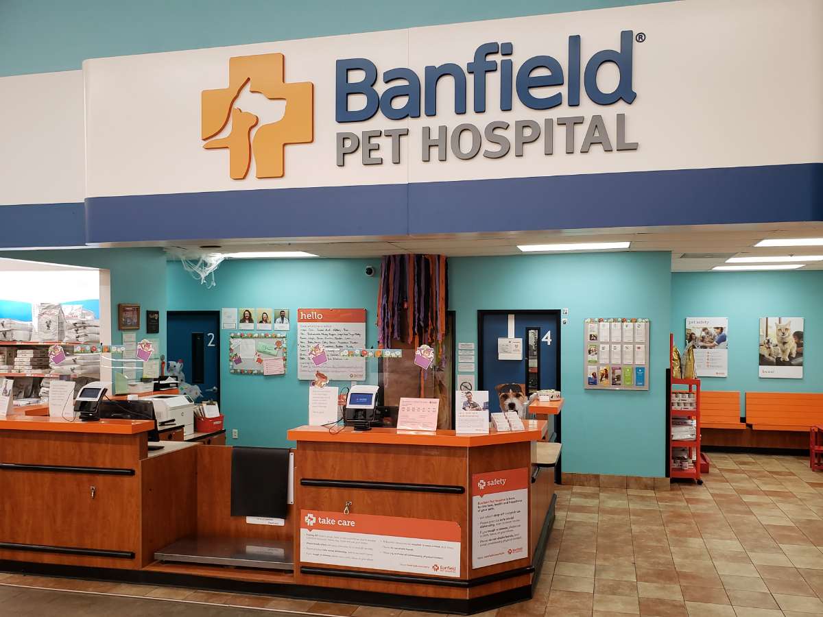 The Gastonia Banfield hospital front desk and check-in area