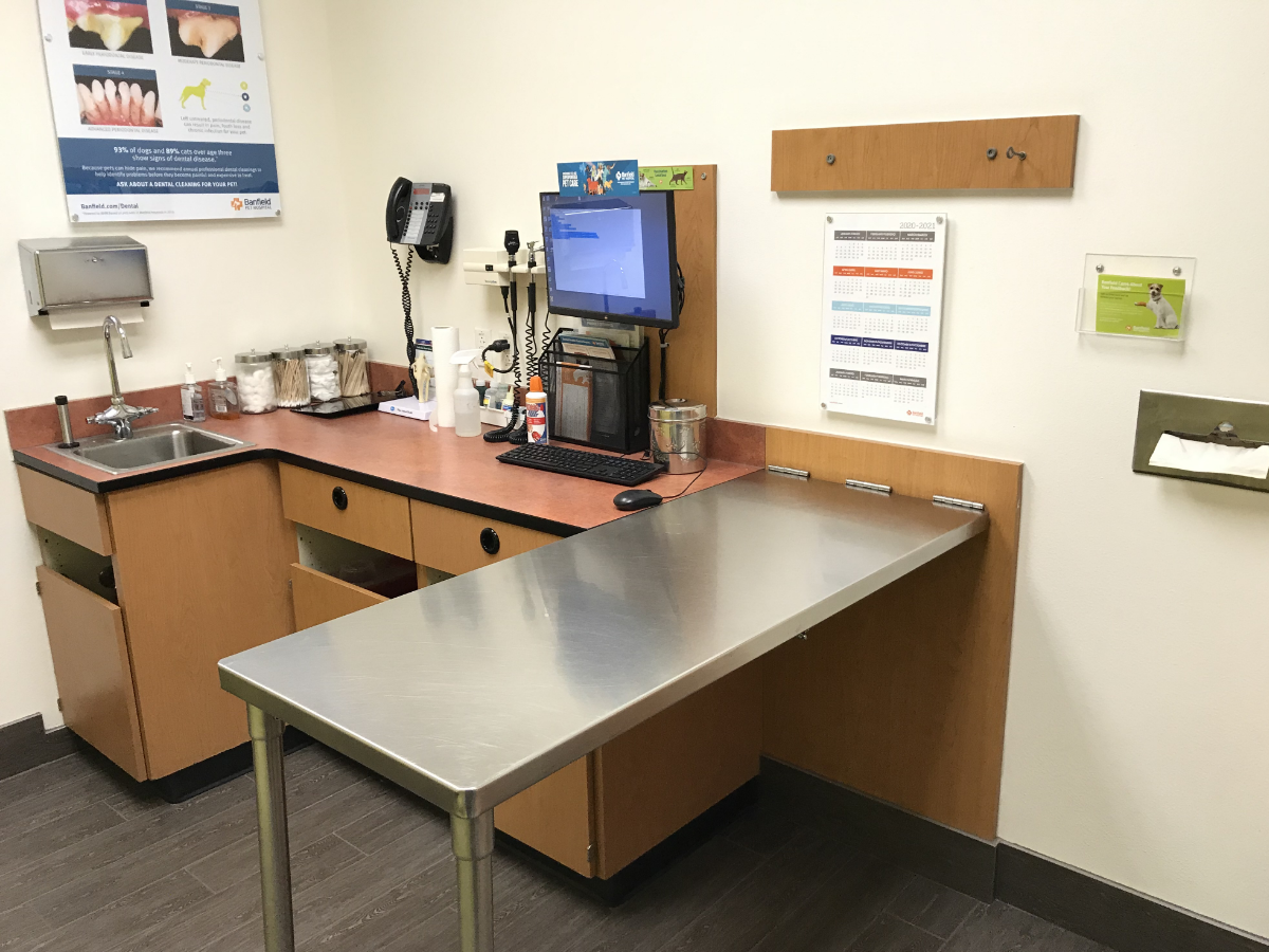The exam room and table inside the Charlotte SW Banfield hospital