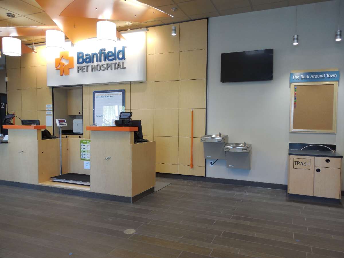 The SouthPark Banfield hospital front desk