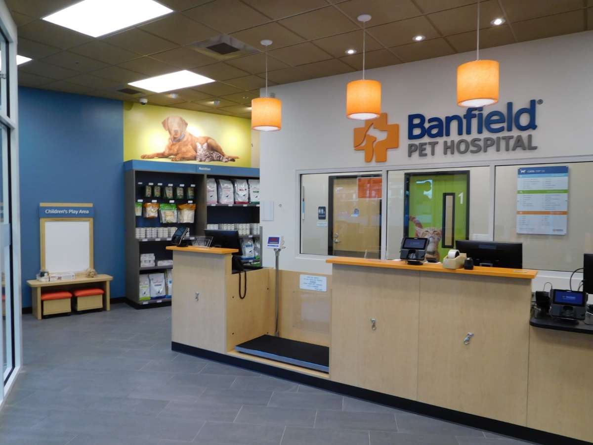 The Charlotte Ballantyne Banfield supply shelves and front desk
