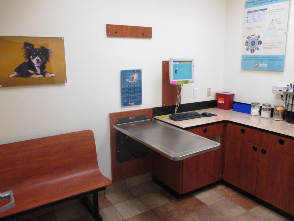 An alternate view of the Chattanooga Banfield hospital exam room