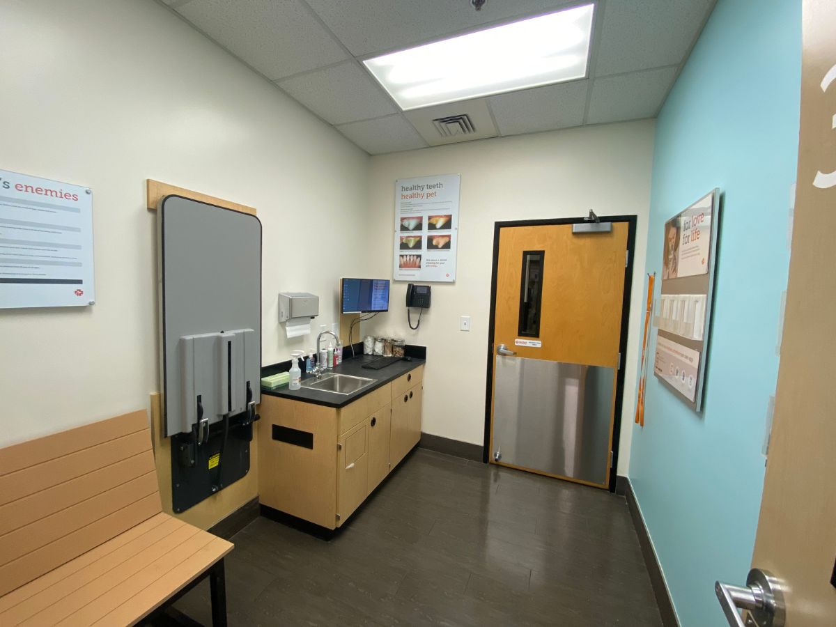 The Banfield Pet Hospital: Smyrna exam room with table