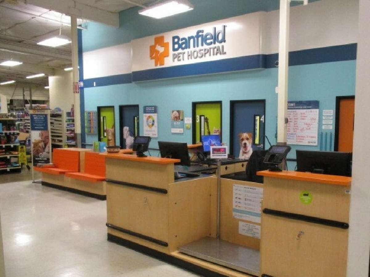 The Sacramento C Banfield hospital front desk