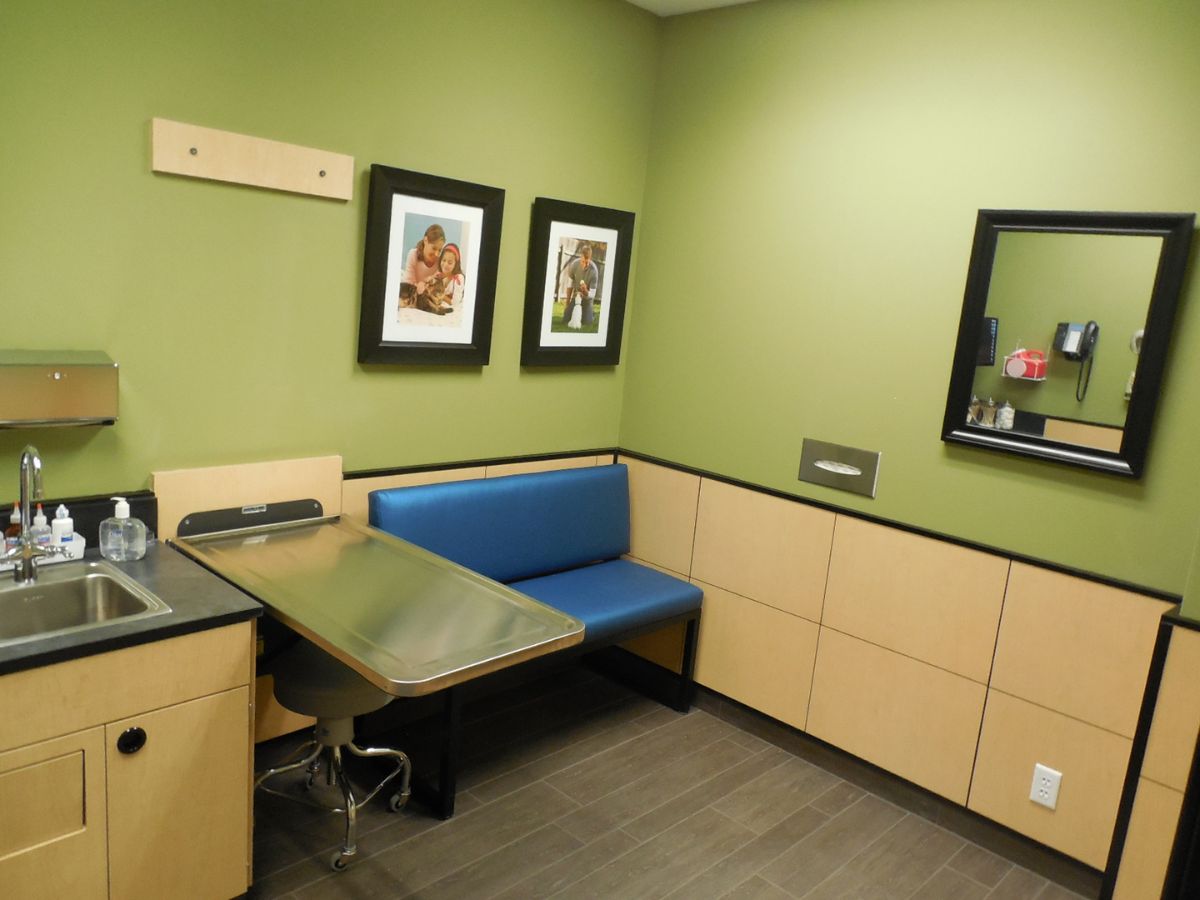 The exam room at the Banfield Leesburg Village Market hospital