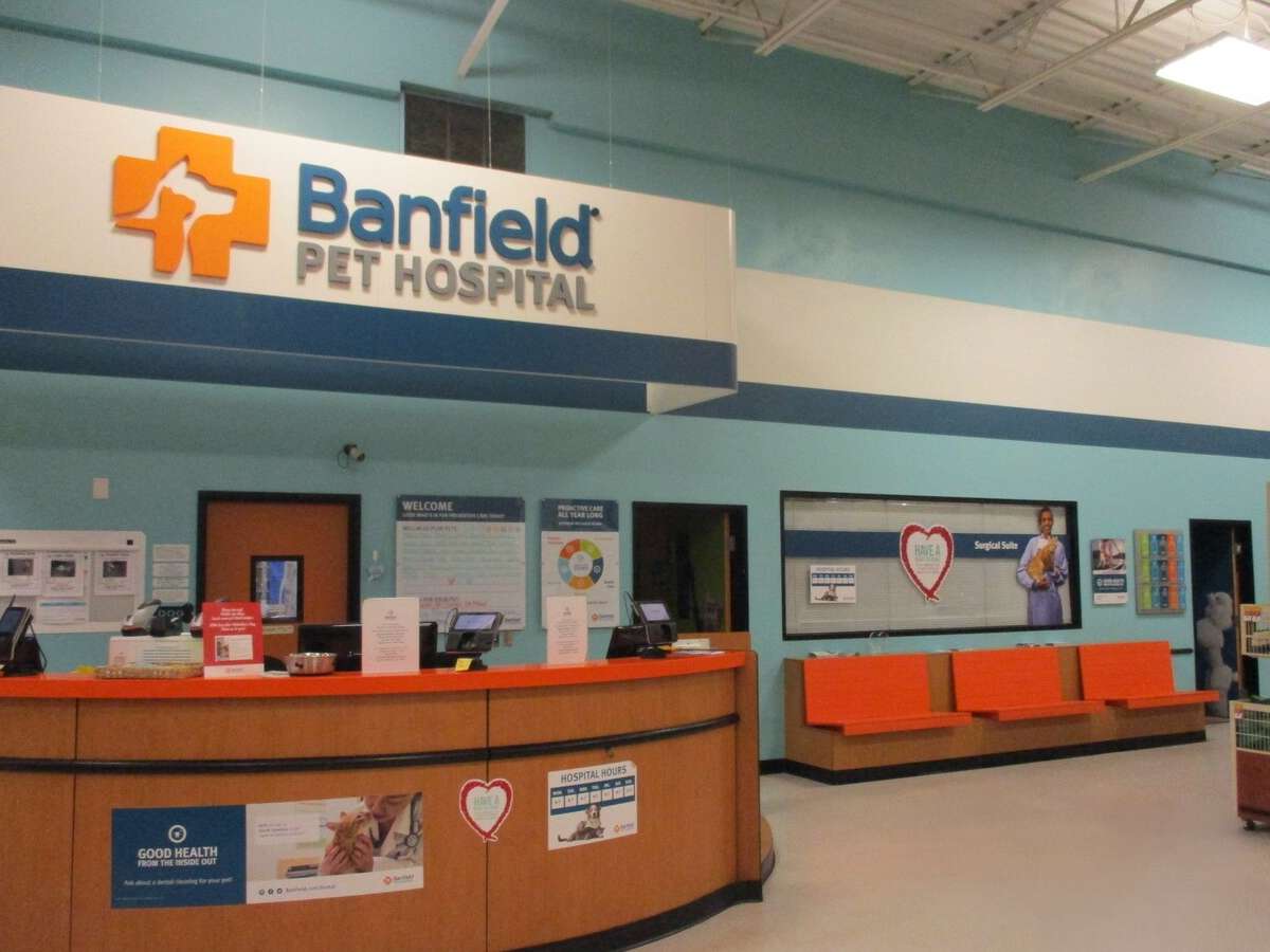 The Summerville Banfield hospital front desk and check-in