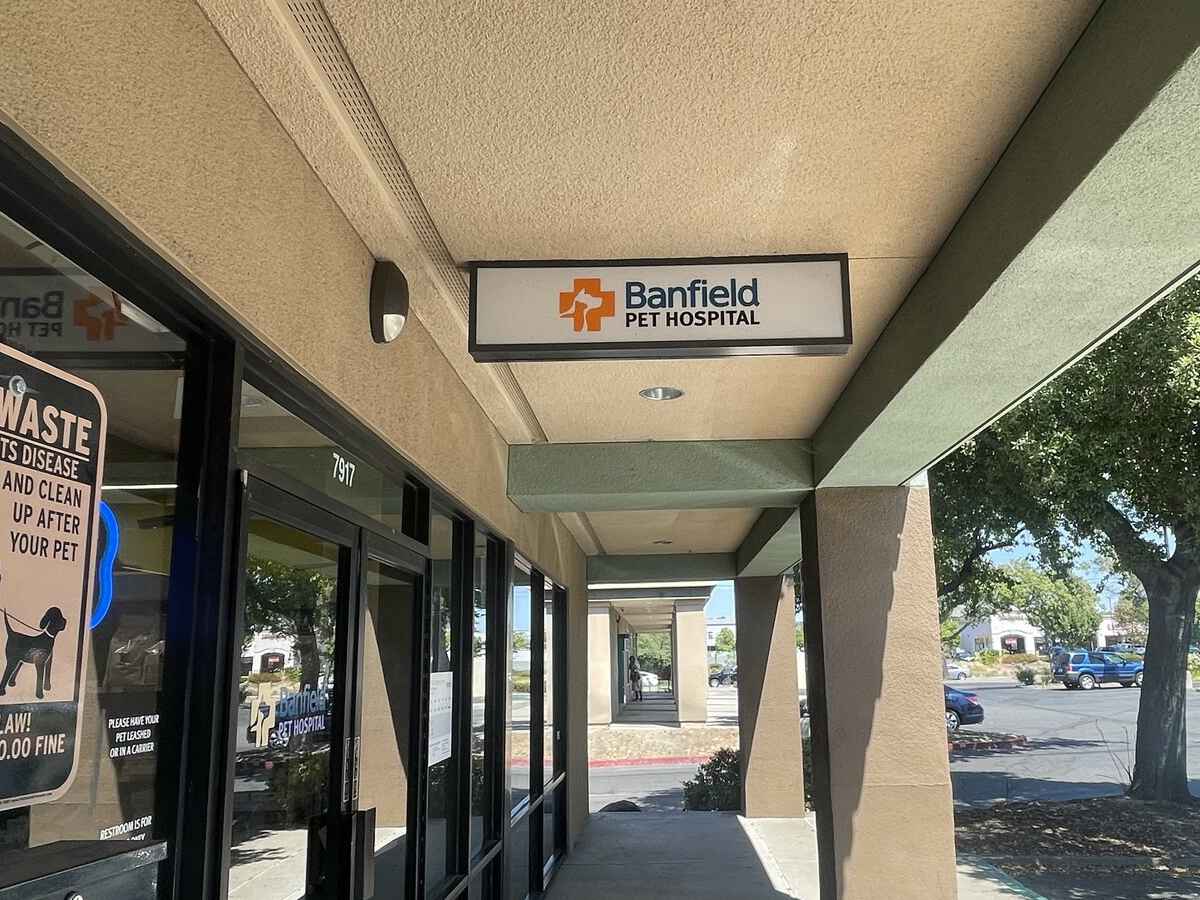 A view of the front exterior of the Banfield - Antelope hospital