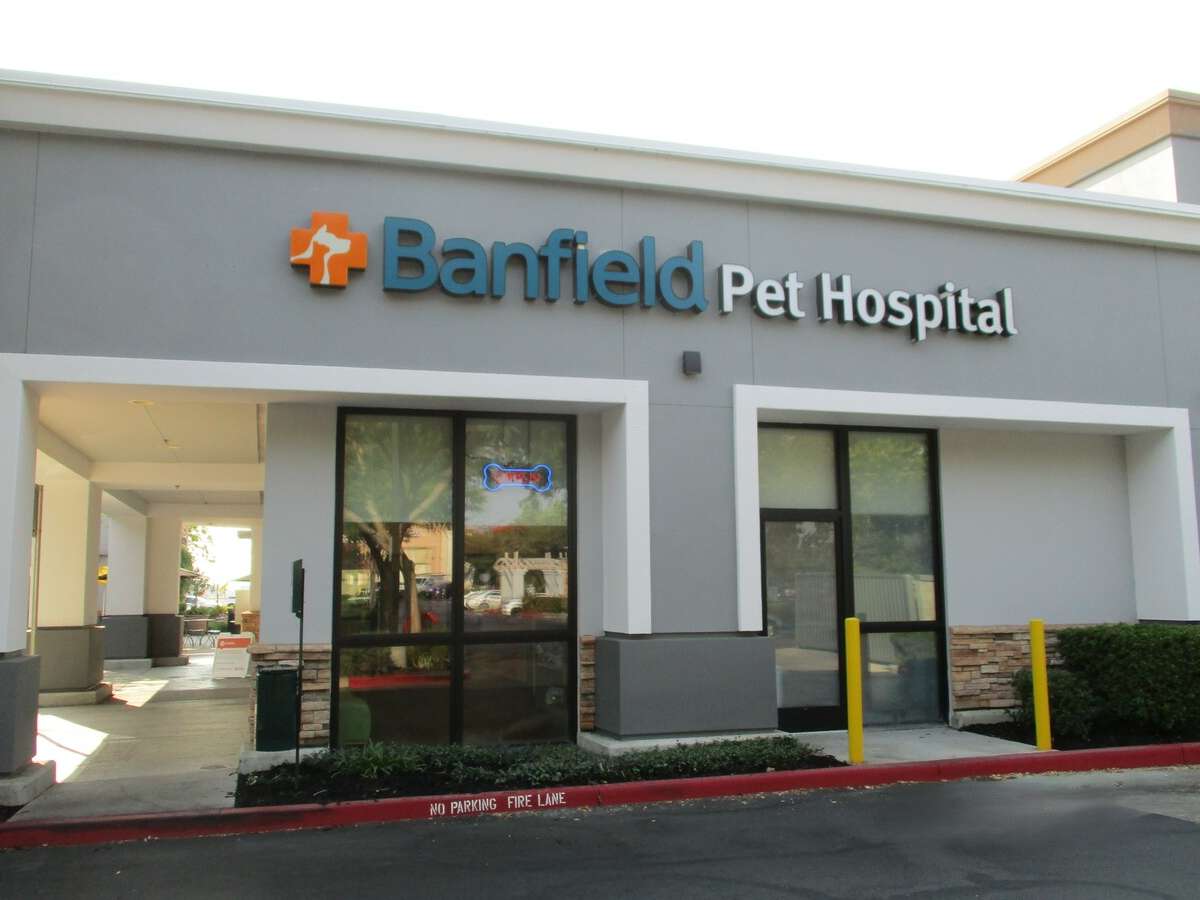 The front entrance at the Banfield - Elk Grove West hospital