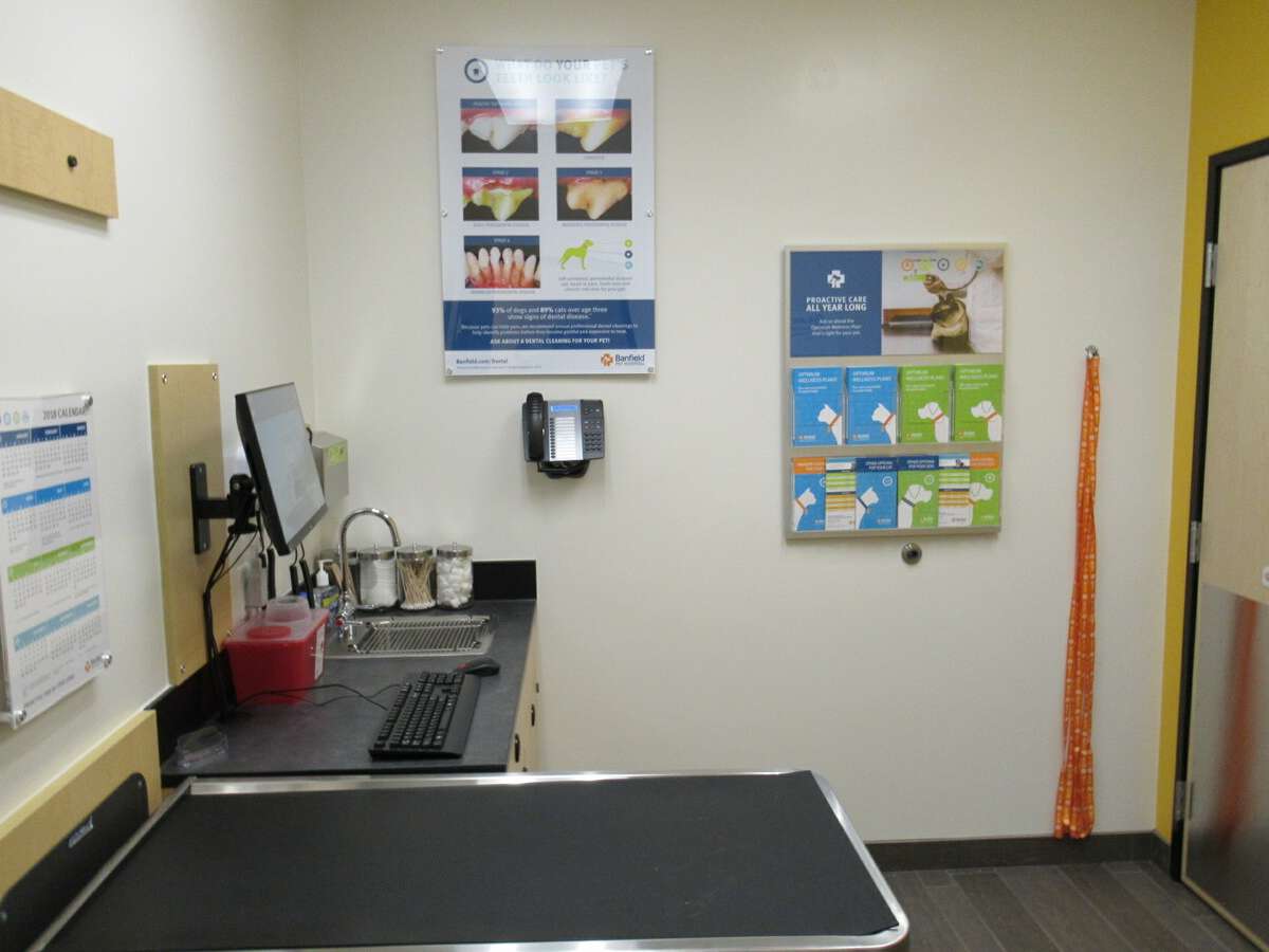 The exam room table inside the Banfield - Elk Grove West