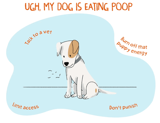 An illustrated gif of a tan and white puppy sitting