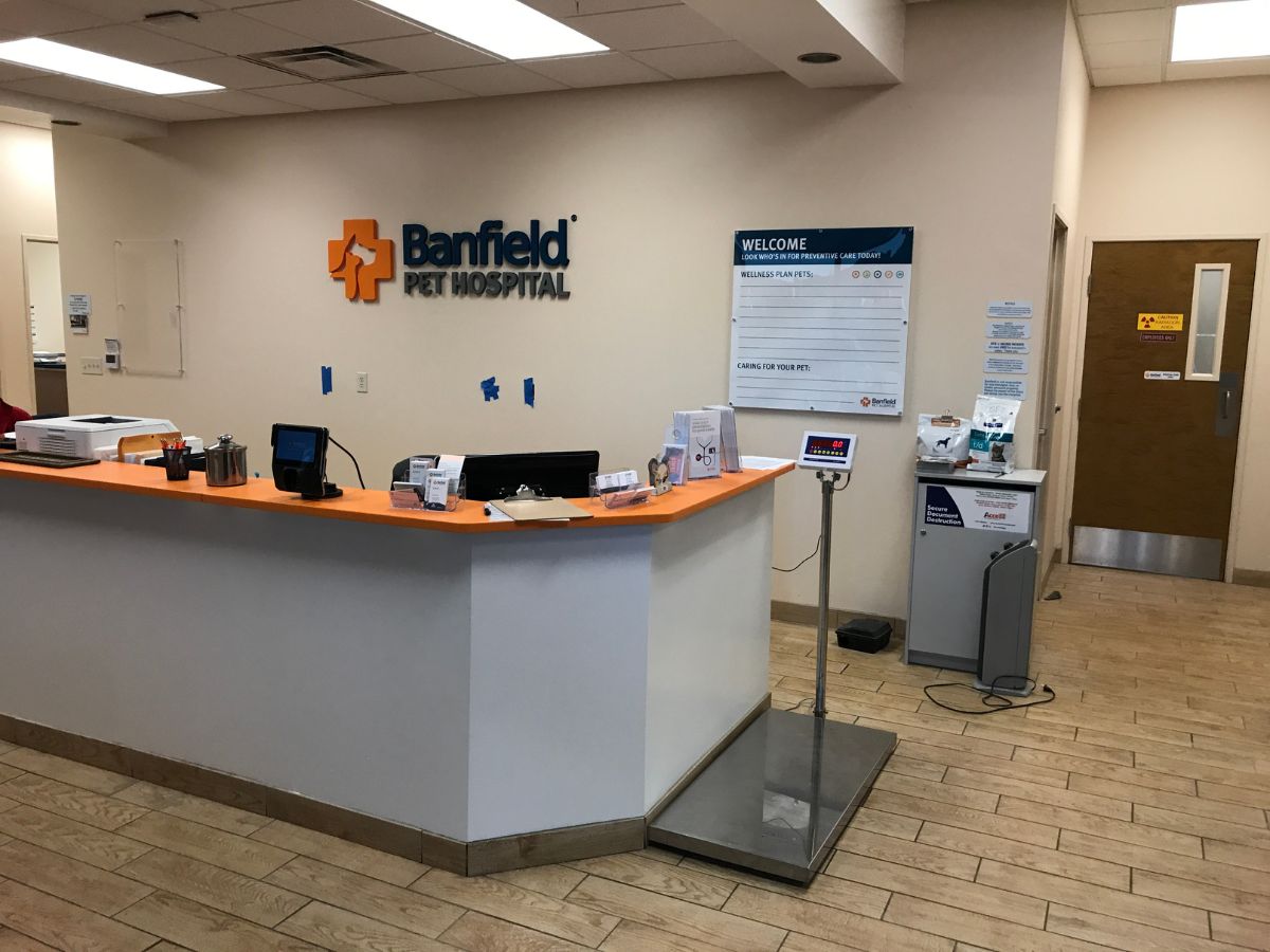 The Banfield Pet Hospital: Shea front desk