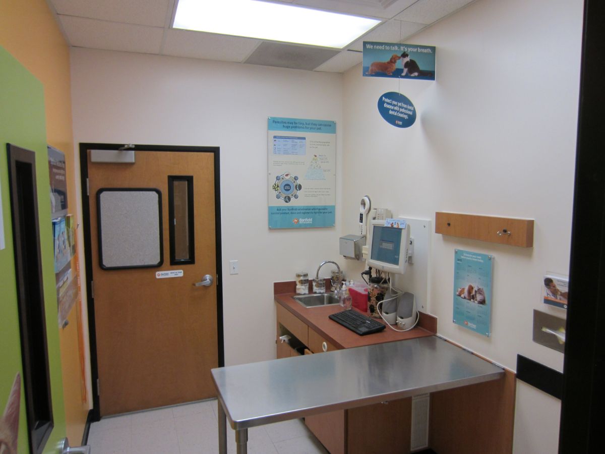 The Banfield Pet Hospital: Desert Ridge exam room with table