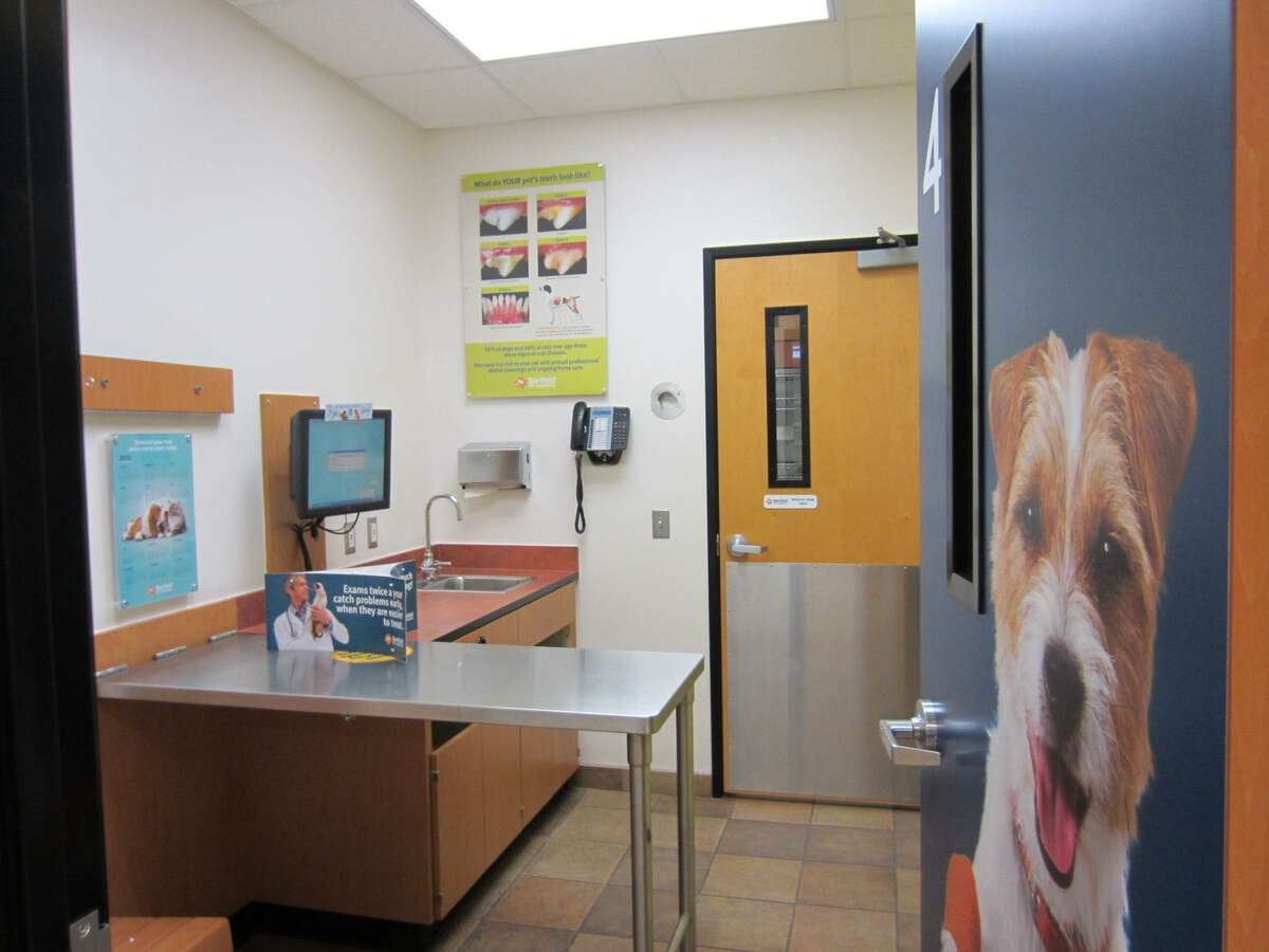 The Banfield - New Braunfels exam door and room