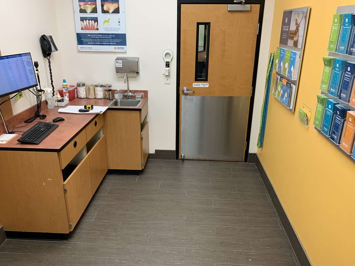 The exam room and computer inside Banfield College Station