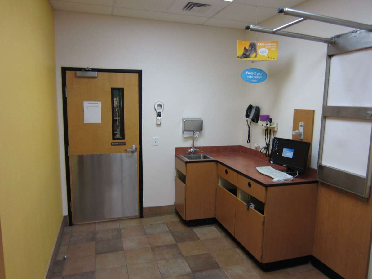 Inside the Scottsdale N Banfield exam room