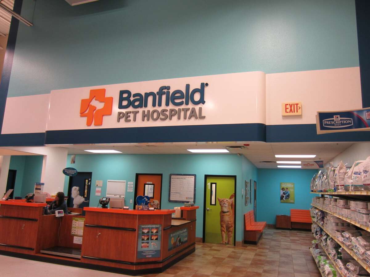 The Paradise Valley Banfield front desk