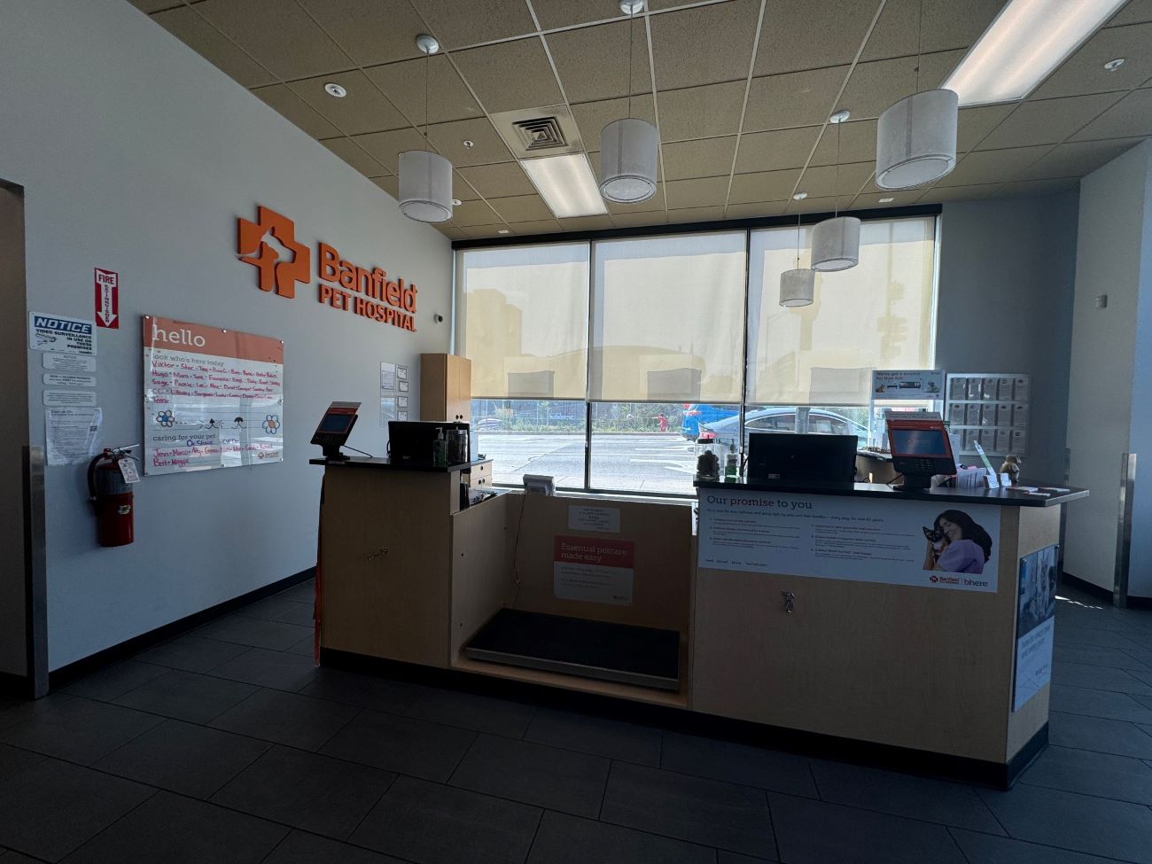 The Chicago South Loop Banfield hospital front desk