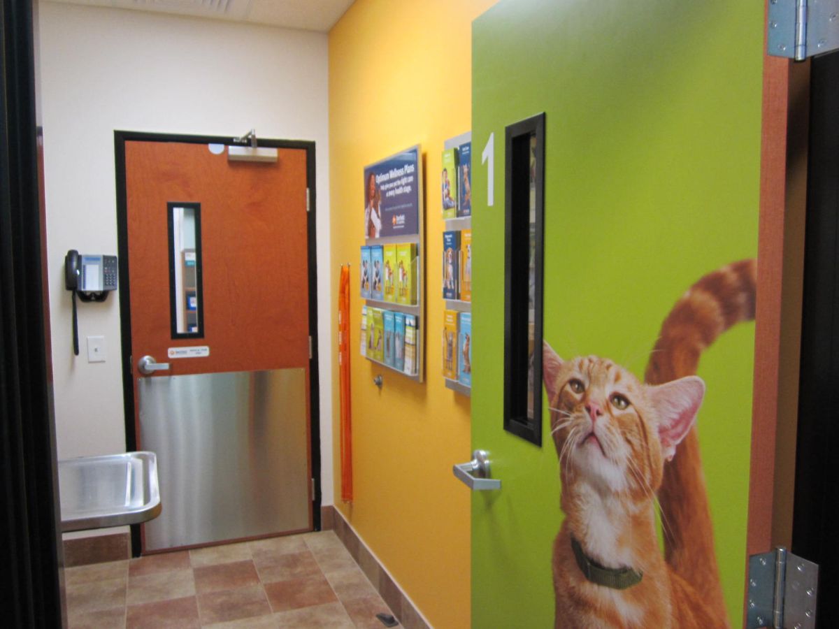 An alternate view of the South Euclid Banfield exam room doors