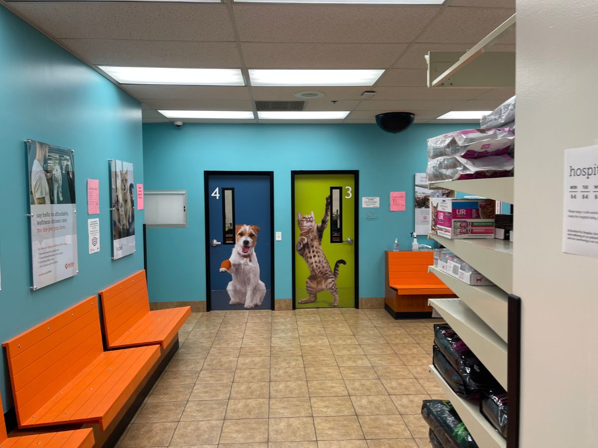 The Banfield Pet Hospital: Parma lobby and exam rooms