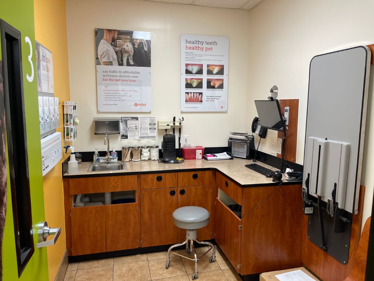The Banfield Pet Hospital: Parma exam room with table