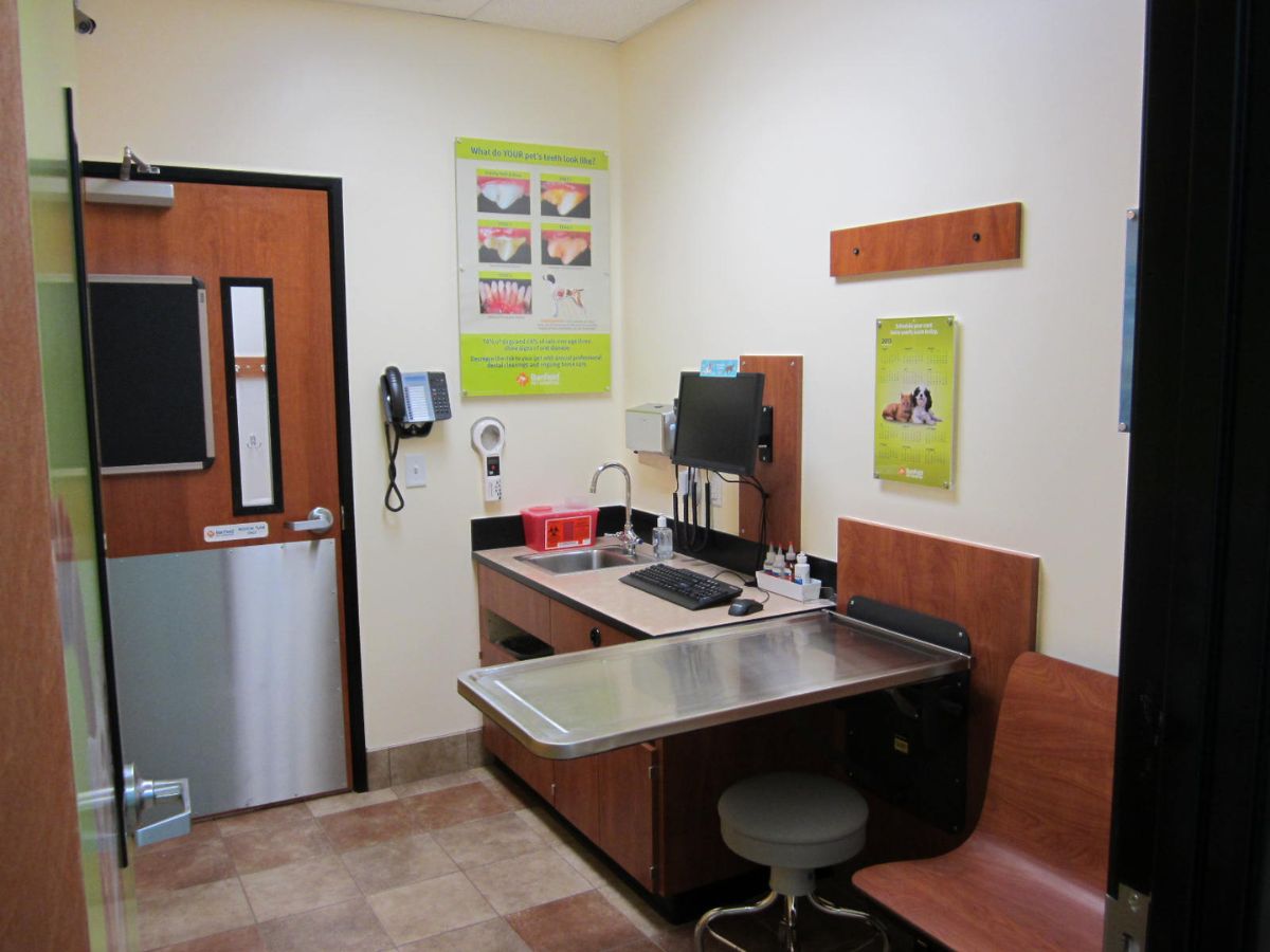 A view of the Banfield - Pleasant Hills exam room and table