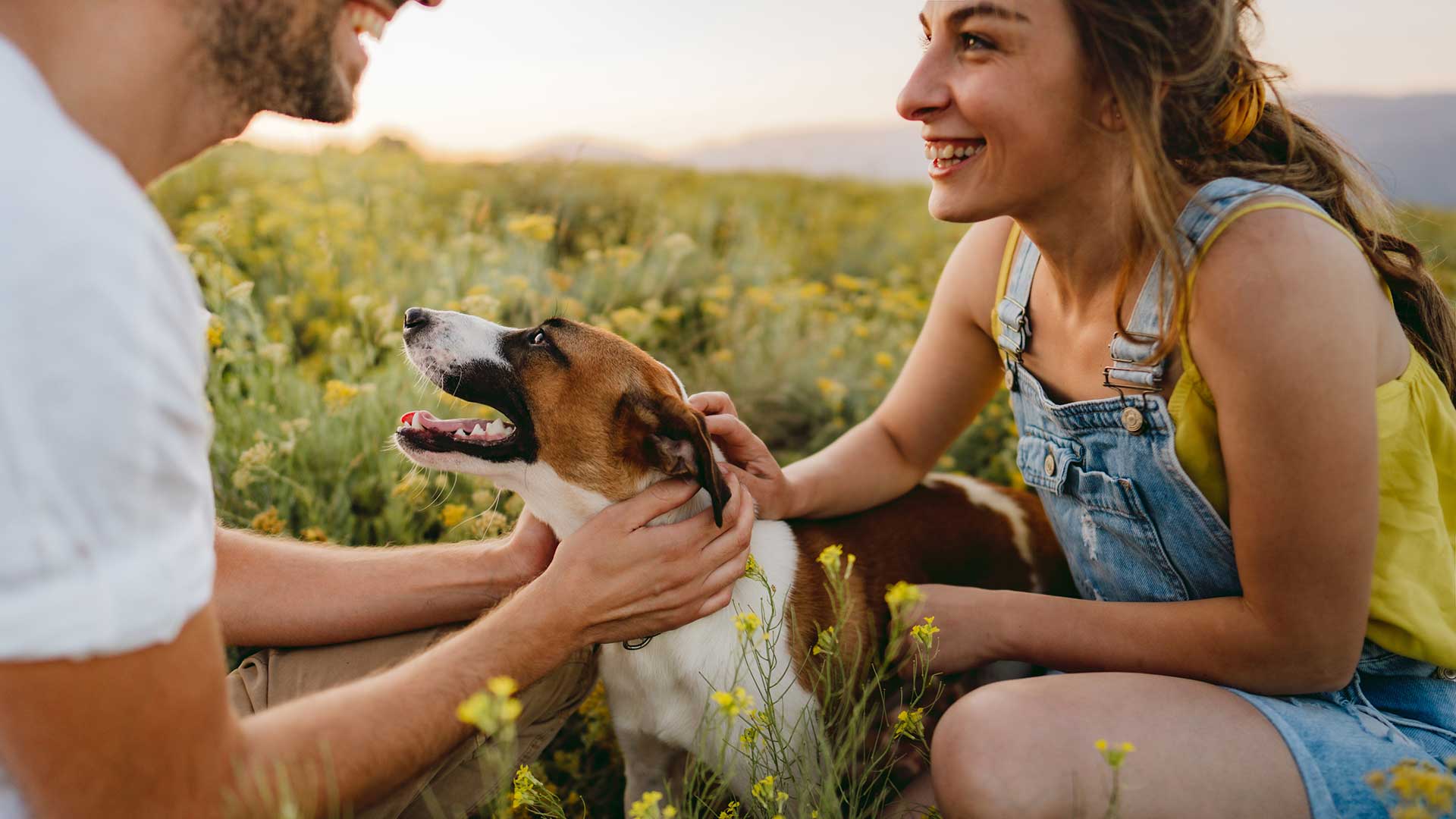 A male and female dog owner with their pet in a field of daffodils