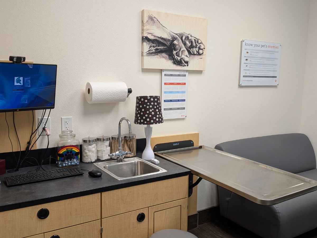 Exam room at Banfield Pet Hospital - Concord