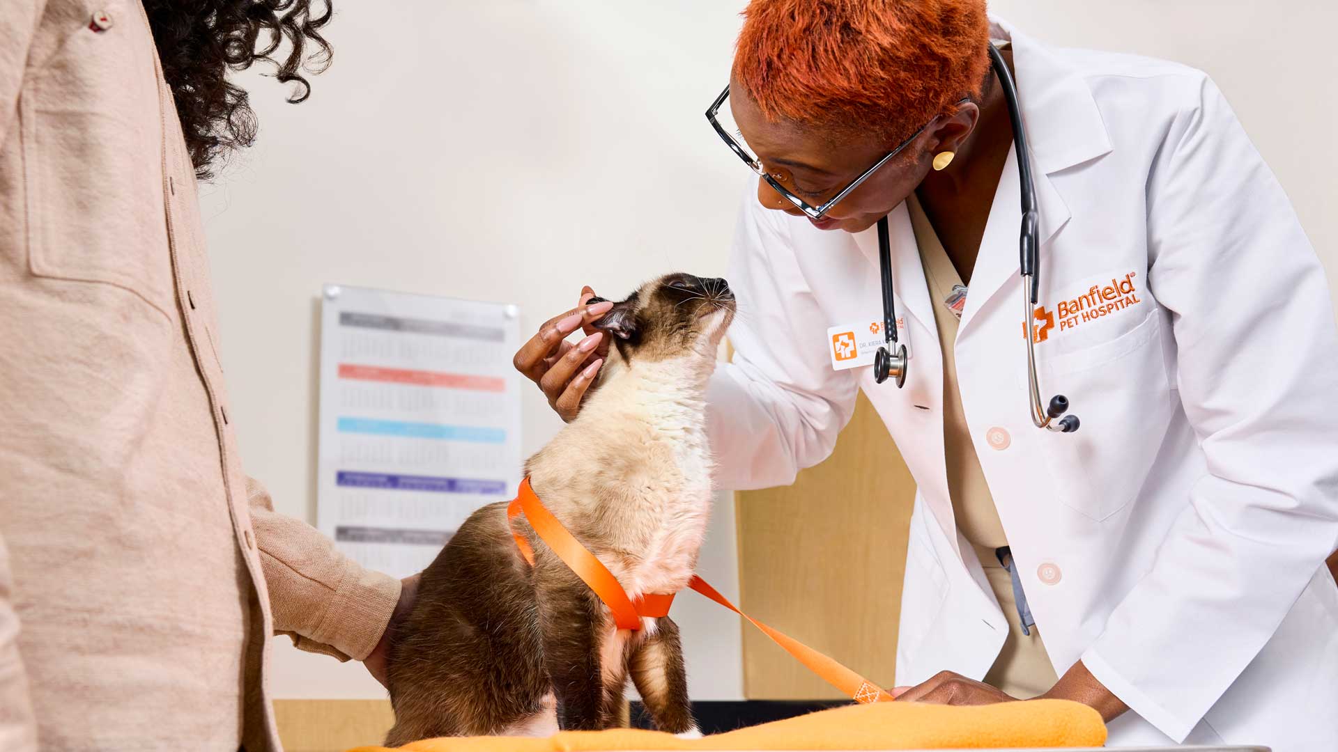 Cat appointment at Banfield Pet Hospital 