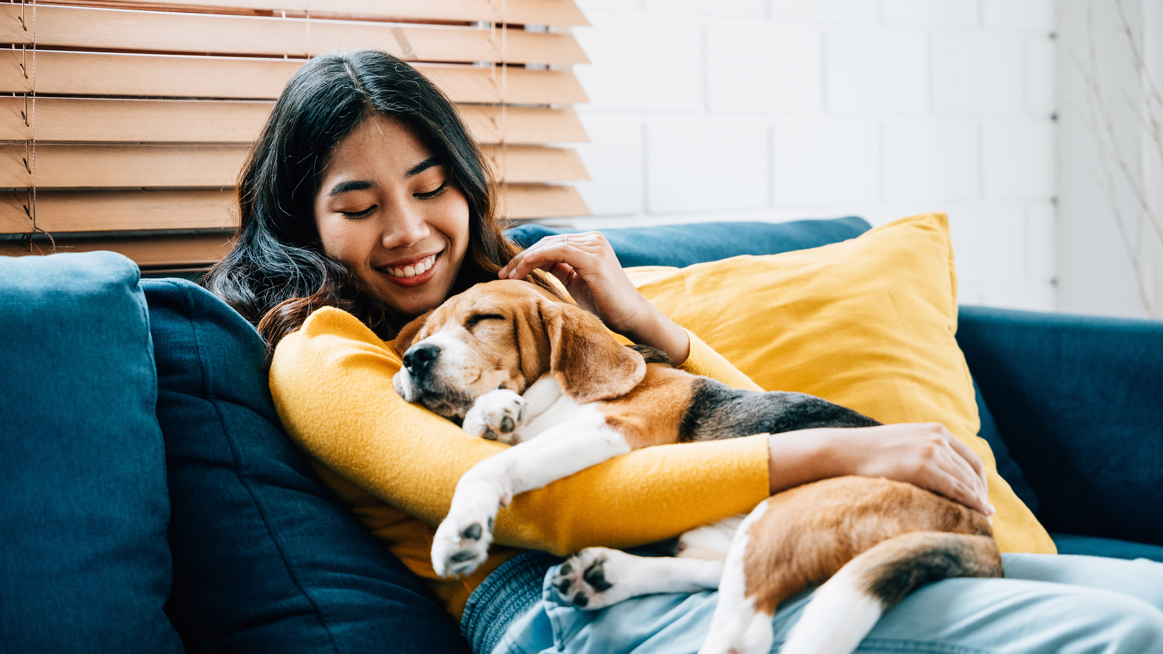 Tips for adoption a pet