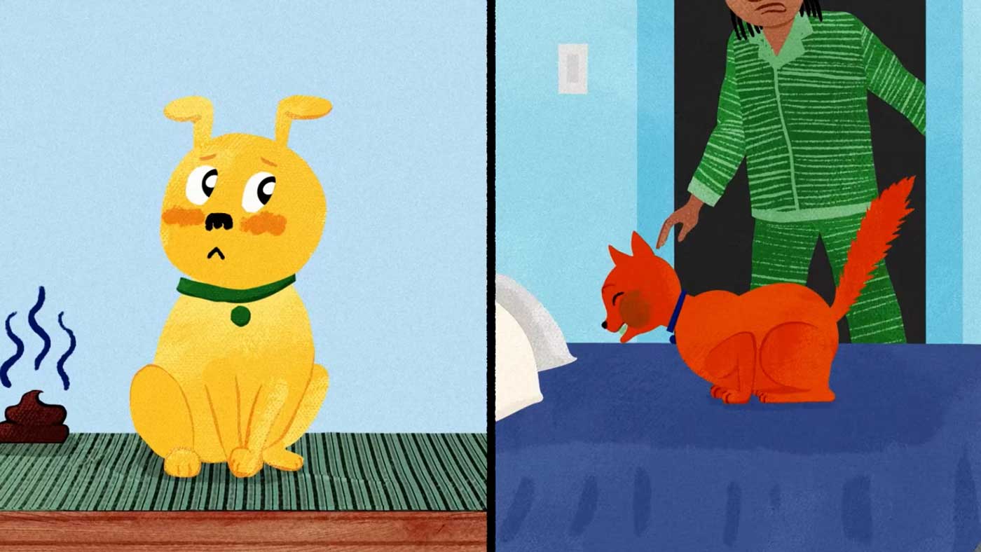 Illustration - pets having stomach issues