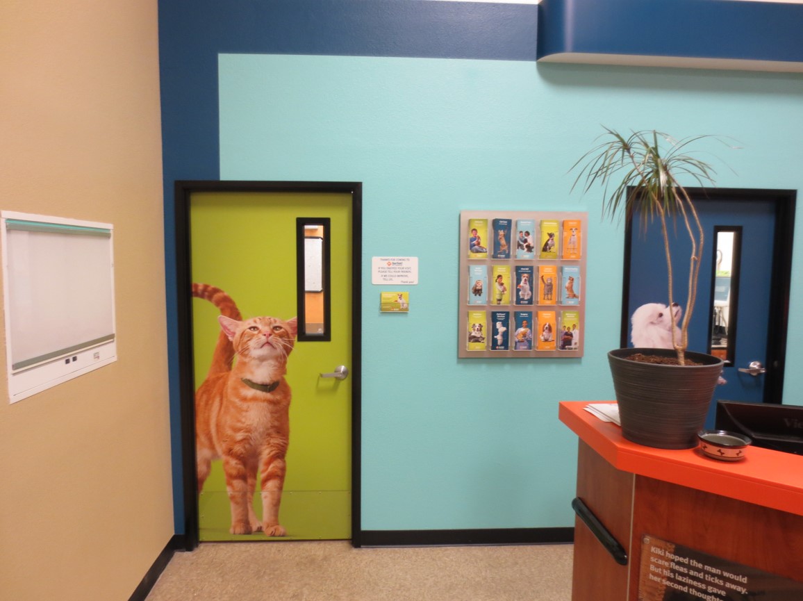 Mesa N entrance to the exam rooms